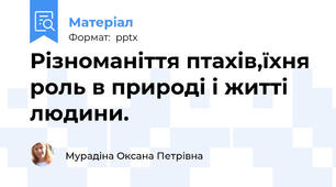 Різноманіття птахів,їхня роль в природі і житті людини.