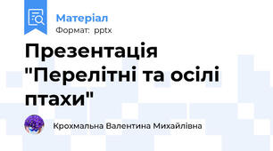 Презентація "Перелітні та осілі птахи"