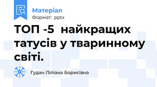 ТОП -5  найкращих татусів у тваринному світі.