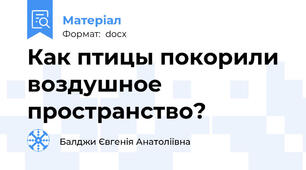 Как птицы покорили воздушное пространство?