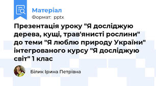 Презентація уроку "Я досліджую дерева, кущі, трав'янисті рослини" до теми "Я люблю природу України" інтегрованого курсу "Я досліджую світ" 1 клас