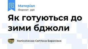 Як готуються до зими бджоли