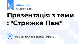 Презентація з теми : "Стрижка Паж"