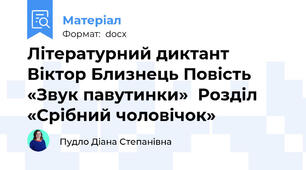 Літературний диктант Віктор Близнець Повість «Звук павутинки»  Розділ «Срібний чоловічок»