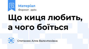 Що киця любить, а чого боїться