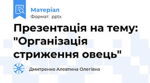 Презентація на тему: "Організація стриження овець"