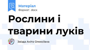 Рослини і тварини луків