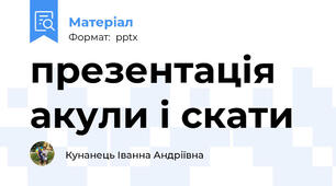 презентація акули і скати