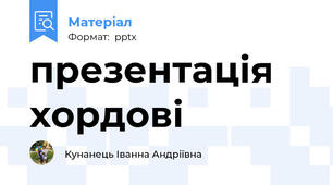 презентація хордові