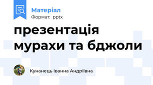 презентація мурахи та бджоли