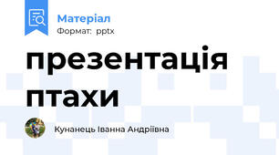 презентація птахи