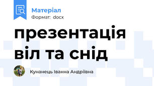 презентація  віл та снід