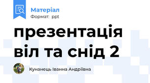 презентація  віл та снід 2