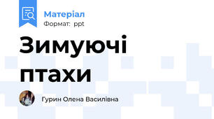 Зимуючі птахи