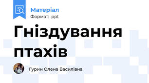 Гніздування птахів