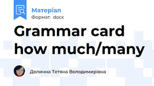 Grammar card how much/many