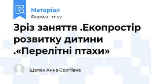 Зріз заняття .Екопростір розвитку дитини .«Перелітні птахи»