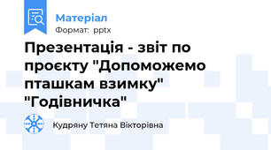 Презентація - звіт по проєкту "Допоможемо пташкам взимку" "Годівничка"