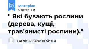 " Які бувають рослини (дерева, кущі, трав’янисті рослини)."
