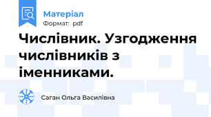 Числівник. Узгодження числівників з іменниками.