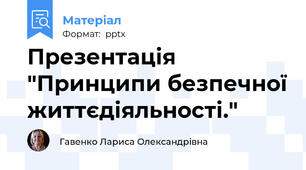 Презентація "Принципи безпечної життєдіяльності."