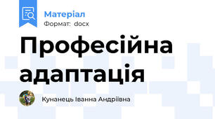 Професійна адаптація