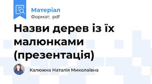 Назви дерев із їх малюнками (презентація)