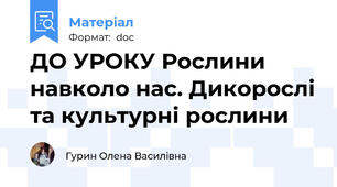 ДО УРОКУ Рослини навколо нас. Дикорослі та культурні рослини