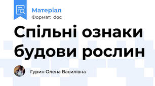 Спільні ознаки будови рослин