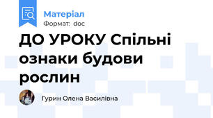 ДО УРОКУ Спільні ознаки будови рослин