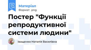 Постер "Функції репродуктивної системи людини"