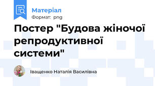 Постер "Будова жіночої репродуктивної системи"
