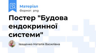 Постер "Будова ендокринної системи"