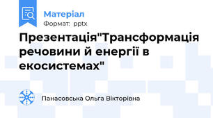 Презентація"Трансформація речовини й енергії в екосистемах"