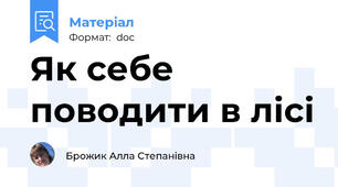 Як себе поводити в лісі