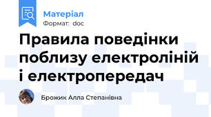 Правила поведінки поблизу електроліній і електропередач
