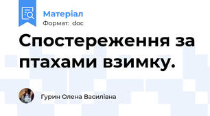 Спостереження за птахами взимку.