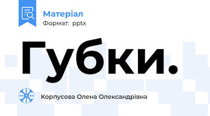 Губки.