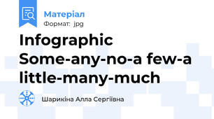 Infographic Some-any-no-a few-a little-many-much
