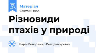Різновиди птахів у природі