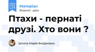 Птахи - пернаті друзі. Хто вони ?