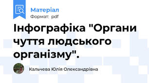 Інфографіка "Органи чуття людського організму".