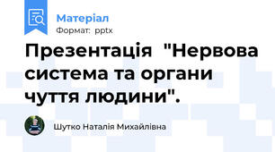 Презентація  "Нервова система та органи чуття людини".