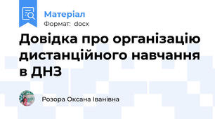 Довідка про організацію дистанційного навчання в ДНЗ