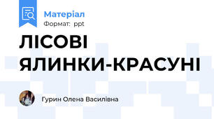 ЛІСОВІ ЯЛИНКИ-КРАСУНІ