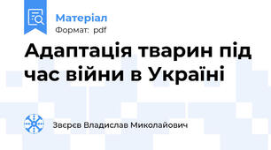 Адаптація тварин під час війни в Україні