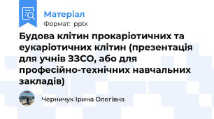 Будова клітин прокаріотичних та еукаріотичних клітин (презентація для учнів ЗЗСО, або для професійно-технічних навчальних закладів)