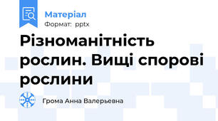 Різноманітність рослин. Вищі спорові рослини