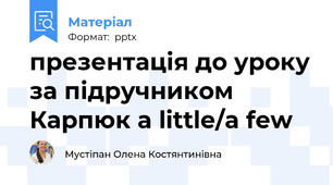 презентація до уроку за підручником Карпюк a little/a few