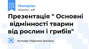 Презентація " Основні  відмінності тварин від рослин і грибів"